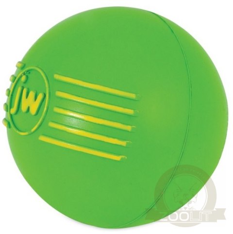 JW Pet iSqueak Ball Medium [32124D]