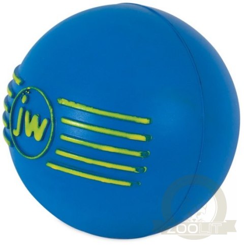 JW Pet iSqueak Ball Medium [32124D]