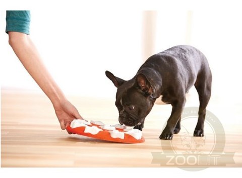 Nina Ottosson Smart - gra edukacyjna [67331]