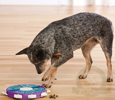 Nina Ottosson Twister - gra edukacyjna [67335]