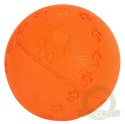Zolux Piłka twarda 9,5cm [480018]