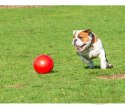 Boomer Ball L - 8" / 20cm czerwona