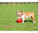 Boomer Ball L - 8" / 20cm czerwona