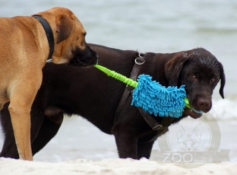 Dingo Zabawka dla psa - Szarpak Mop Bungee z piłką niebieski Dingo Zabawka dla psa - Szarpak Mop Bungee z piłką niebieski