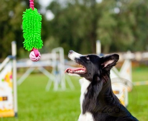 Dingo Zabawka dla psa - Szarpak Mop Bungee z piłką zielony Dingo Zabawka dla psa - Szarpak Mop Bungee z piłką zielony