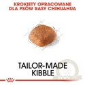 Royal Canin Chihuahua Adult karma sucha dla psów dorosłych rasy chihuahua 0,5kg