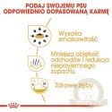 Royal Canin Chihuahua Adult karma sucha dla psów dorosłych rasy chihuahua 0,5kg