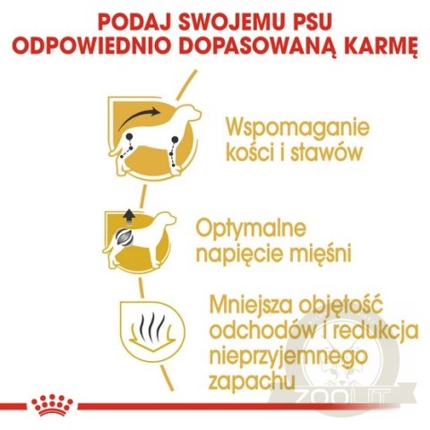 Royal Canin Dachshund Adult karma sucha dla psów dorosłych rasy jamnik 1,5kg Royal Canin Dachshund Adult karma sucha dla psów dorosłych rasy jamnik 1,5kg