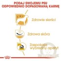 Royal Canin West Highland White Terrier Adult karma sucha dla psów dorosłych rasy west highland white terrier 1,5kg