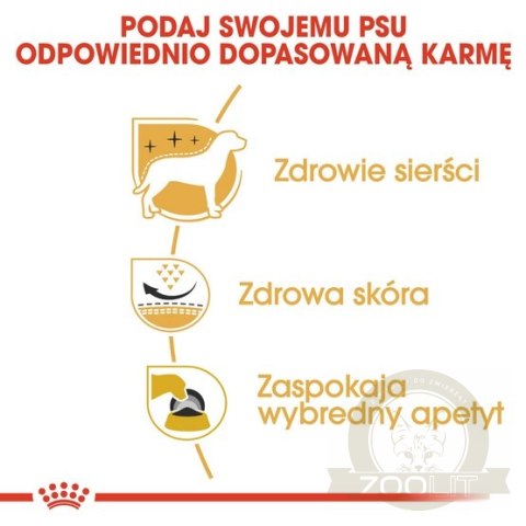 Royal Canin West Highland White Terrier Adult karma sucha dla psów dorosłych rasy west highland white terrier 1,5kg Royal Canin West Highland White Terrier Adult karma sucha dla psów dorosłych rasy west highland white terrier 1,5kg