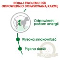 Royal Canin Mini Adult karma sucha dla psów dorosłych, ras małych 2kg
