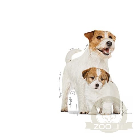Royal Canin Starter Mother&Babydog karma mokra - mus, dla suk w czasie ciąży, laktacji oraz szczeniąt puszka 195g Royal Canin Starter Mother&Babydog karma mokra - mus, dla suk w czasie ciąży, laktacji oraz szczeniąt puszka 195g