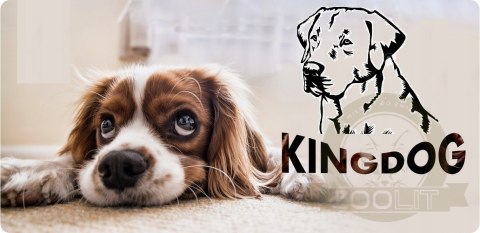Legowisko dla psa kojec KINGDOG 75x65 cm Personalizowane Wodoodporne Beżowe Legowisko dla psa kojec KINGDOG 75x65 cm Personalizowane Wodoodporne Beżowe