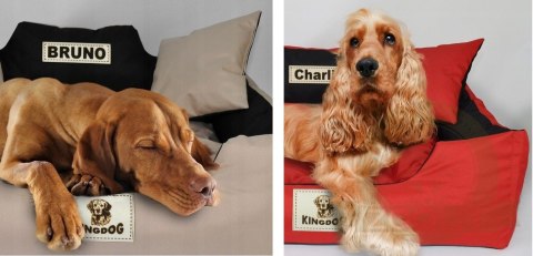 Legowisko dla psa kojec KINGDOG 75x65 cm Personalizowane Wodoodporne Beżowe Legowisko dla psa kojec KINGDOG 75x65 cm Personalizowane Wodoodporne Beżowe