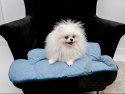 MIMIKO Pets Mata Velvet Form Chmurka