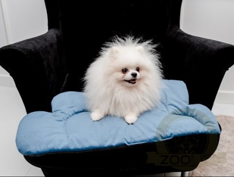 MIMIKO Pets Mata Velvet Form Chmurka MIMIKO Pets Mata Velvet Form Chmurka