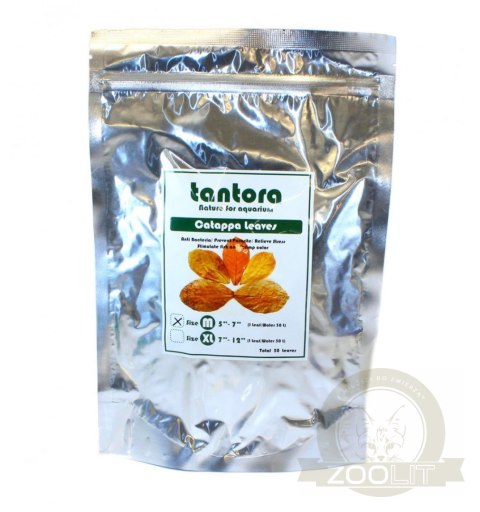 Tantora Cattapa Leaves Liście Ketapang M 50Szt. Tantora Cattapa Leaves Liście Ketapang M 50Szt.
