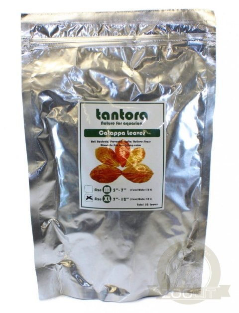 Tantora Cattapa Leaves Liście Ketapangu XL 50Szt. Tantora Cattapa Leaves Liście Ketapangu XL 50Szt.