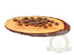Carnilove Dog Salmon & Turkey Large Adult - łosoś i indyk 1,5kg