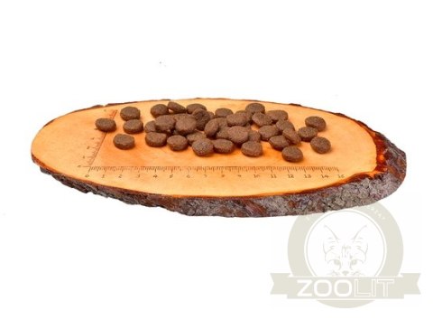 Carnilove Dog Salmon & Turkey Large Puppy - łosoś i indyk 12kg Carnilove Dog Salmon & Turkey Large Puppy - łosoś i indyk 12kg