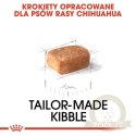 Royal Canin Chihuahua Puppy karma sucha dla szczeniąt do 8 miesiąca, rasy chihuahua 0,5kg