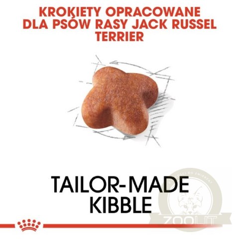 Royal Canin Jack Russell Terrier Adult karma sucha dla psów dorosłych rasy jack russell terrier 1,5kg Royal Canin Jack Russell Terrier Adult karma sucha dla psów dorosłych rasy jack russell terrier 1,5kg