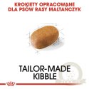 Royal Canin Maltese Adult karma sucha dla psów dorosłych rasy maltańczyk 500g