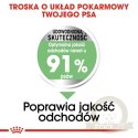Royal Canin Medium Digestive Care karma sucha dla psów dorosłych, ras średnich o wrażliwym przewodzie pokarmowym 3kg