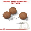 Royal Canin Medium Digestive Care karma sucha dla psów dorosłych, ras średnich o wrażliwym przewodzie pokarmowym 3kg