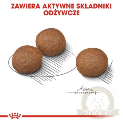 Royal Canin Medium Digestive Care karma sucha dla psów dorosłych, ras średnich o wrażliwym przewodzie pokarmowym 3kg Royal Canin Medium Digestive Care karma sucha dla psów dorosłych, ras średnich o wrażliwym przewodzie pokarmowym 3kg