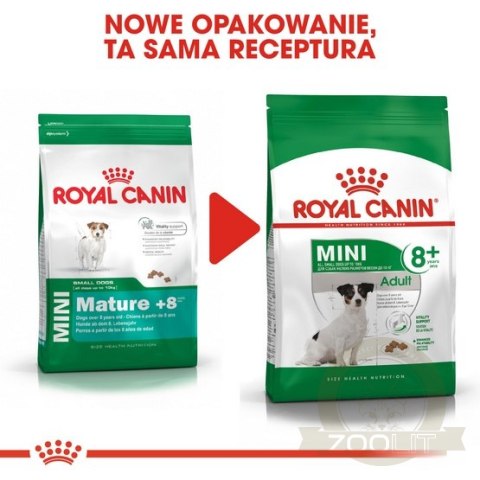 Royal Canin Mini Adult 8+ karma sucha dla psów starszych od 8 do 12 roku życia, ras małych 800g Royal Canin Mini Adult 8+ karma sucha dla psów starszych od 8 do 12 roku życia, ras małych 800g