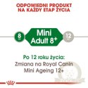Royal Canin Mini Adult 8+ karma sucha dla psów starszych od 8 do 12 roku życia, ras małych 800g