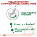 Royal Canin Mini Adult 8+ karma sucha dla psów starszych od 8 do 12 roku życia, ras małych 800g