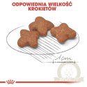 Royal Canin Mini Adult 8+ karma sucha dla psów starszych od 8 do 12 roku życia, ras małych 800g