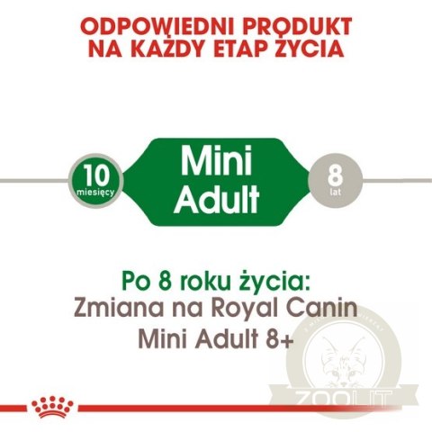 Royal Canin Mini Adult karma sucha dla psów dorosłych, ras małych 0,8kg Royal Canin Mini Adult karma sucha dla psów dorosłych, ras małych 0,8kg