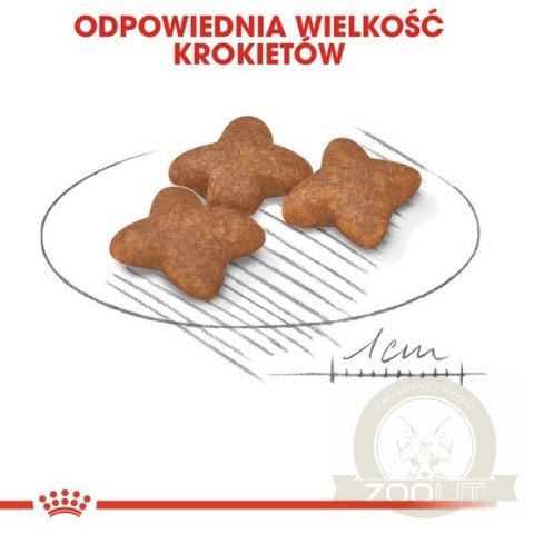 Royal Canin Mini Adult karma sucha dla psów dorosłych, ras małych 0,8kg Royal Canin Mini Adult karma sucha dla psów dorosłych, ras małych 0,8kg