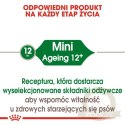 Royal Canin Mini Ageing 12+ karma sucha dla psów dojrzałych po 12 roku życia, ras małych 1,5kg