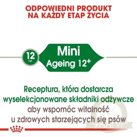 Royal Canin Mini Ageing 12+ karma sucha dla psów dojrzałych po 12 roku życia, ras małych 1,5kg Royal Canin Mini Ageing 12+ karma sucha dla psów dojrzałych po 12 roku życia, ras małych 1,5kg