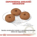 Royal Canin Mini Ageing 12+ karma sucha dla psów dojrzałych po 12 roku życia, ras małych 1,5kg