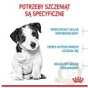 Royal Canin Mini Puppy karma sucha dla szczeniąt, od 2 do 10 miesiąca życia, ras małych 4kg