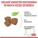 Royal Canin Mini Puppy karma sucha dla szczeniąt, od 2 do 10 miesiąca życia, ras małych 4kg