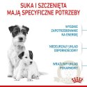 Royal Canin Mini Starter Mother&Babydog karma sucha dla szczeniąt do 2 miesiąca i suk karmiących ras małych 1kg