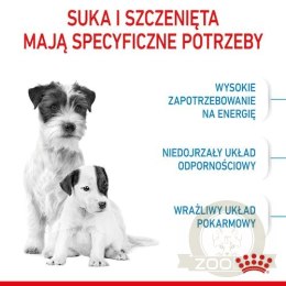 Royal Canin Mini Starter Mother&Babydog karma sucha dla szczeniąt do 2 miesiąca i suk karmiących ras małych 1kg