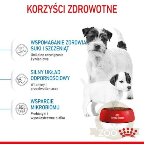 Royal Canin Mini Starter Mother&Babydog karma sucha dla szczeniąt do 2 miesiąca i suk karmiących ras małych 1kg Royal Canin Mini Starter Mother&Babydog karma sucha dla szczeniąt do 2 miesiąca i suk karmiących ras małych 1kg