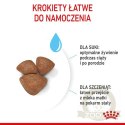 Royal Canin Mini Starter Mother&Babydog karma sucha dla szczeniąt do 2 miesiąca i suk karmiących ras małych 1kg