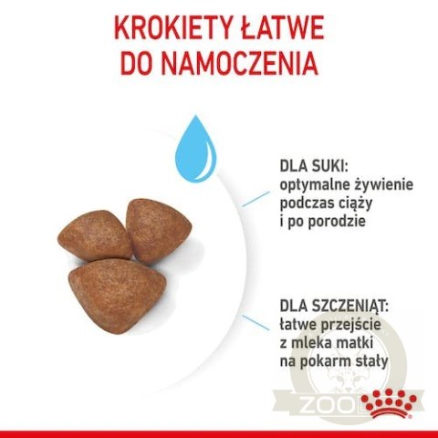 Royal Canin Mini Starter Mother&Babydog karma sucha dla szczeniąt do 2 miesiąca i suk karmiących ras małych 1kg Royal Canin Mini Starter Mother&Babydog karma sucha dla szczeniąt do 2 miesiąca i suk karmiących ras małych 1kg