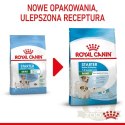 Royal Canin Mini Starter Mother&Babydog karma sucha dla szczeniąt do 2 miesiąca i suk karmiących ras małych 1kg