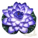 Deep Aqua Lilia do Oczka Wodnego Niebieska 17cm
