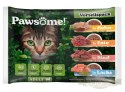 Pawsome Mixpack saszetki 4x85g