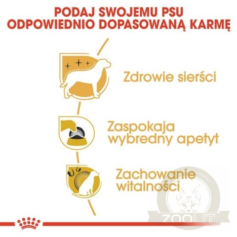 Royal Canin Yorkshire Terrier Adult karma sucha dla psów dorosłych rasy yorkshire terrier 3kg Royal Canin Yorkshire Terrier Adult karma sucha dla psów dorosłych rasy yorkshire terrier 3kg